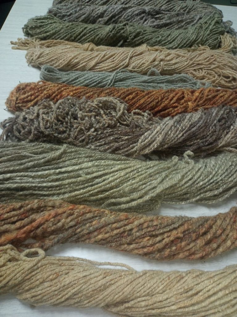 lanas teñidas con plantas naturales en el taller de hildo y telar mapuche a cargo de la maestra artesana Alda Torres